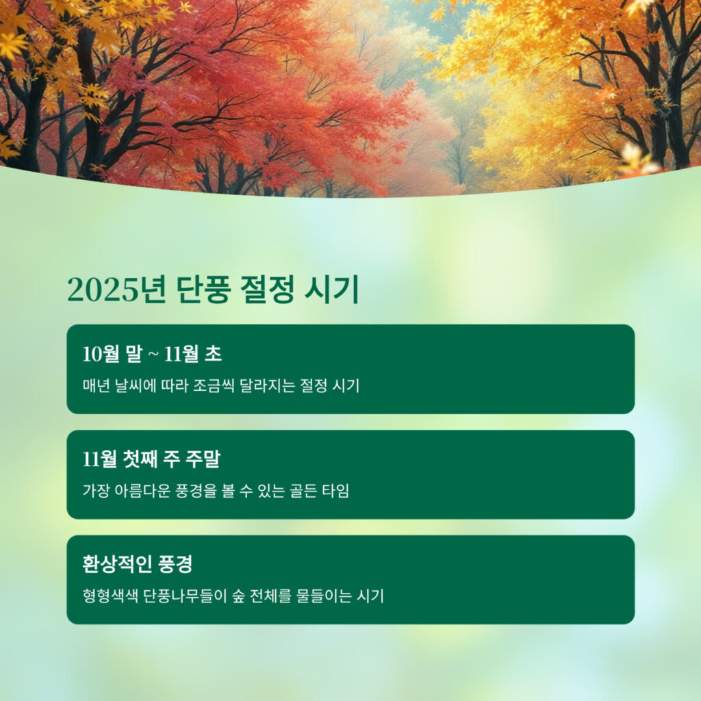 화담숲 단풍 절정 시기