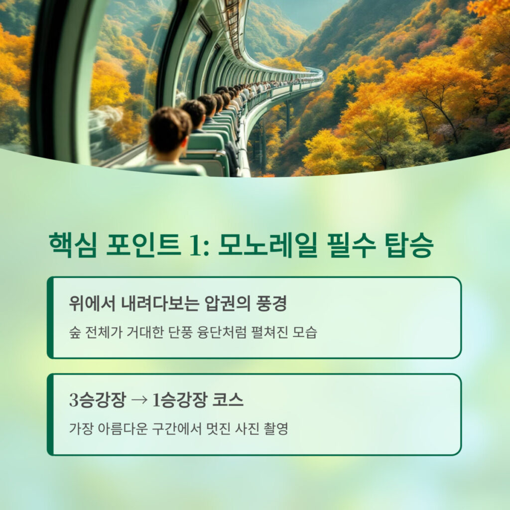 모노레일을 타고 즐기는 사람들의 모습