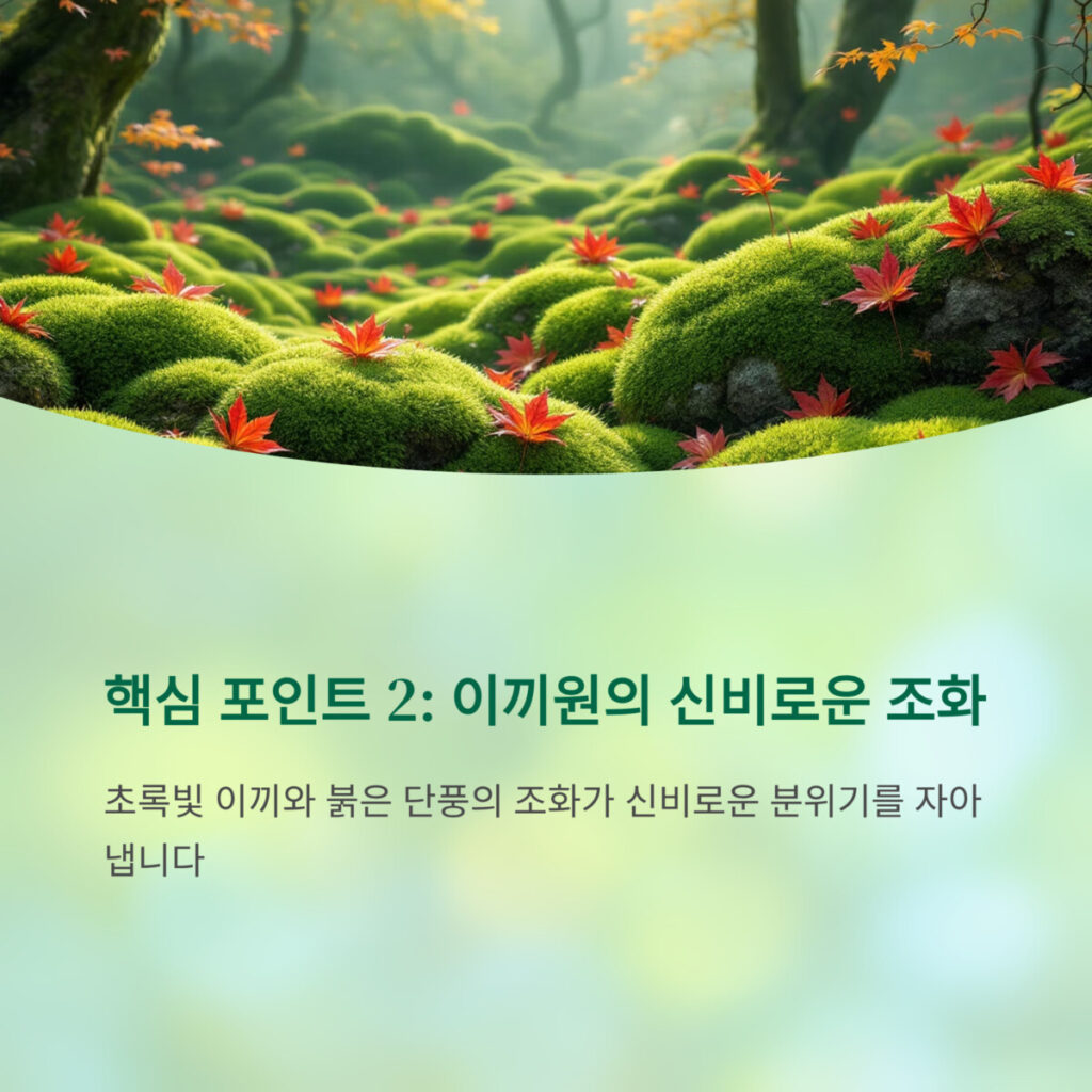 이끼로 뒤덮인 산의 모습