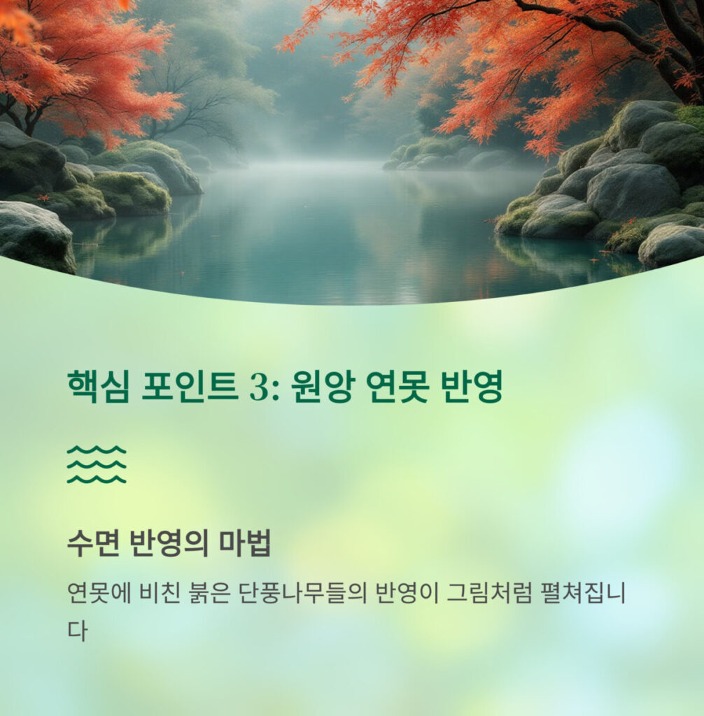 화담숲 원앙 연못 모습