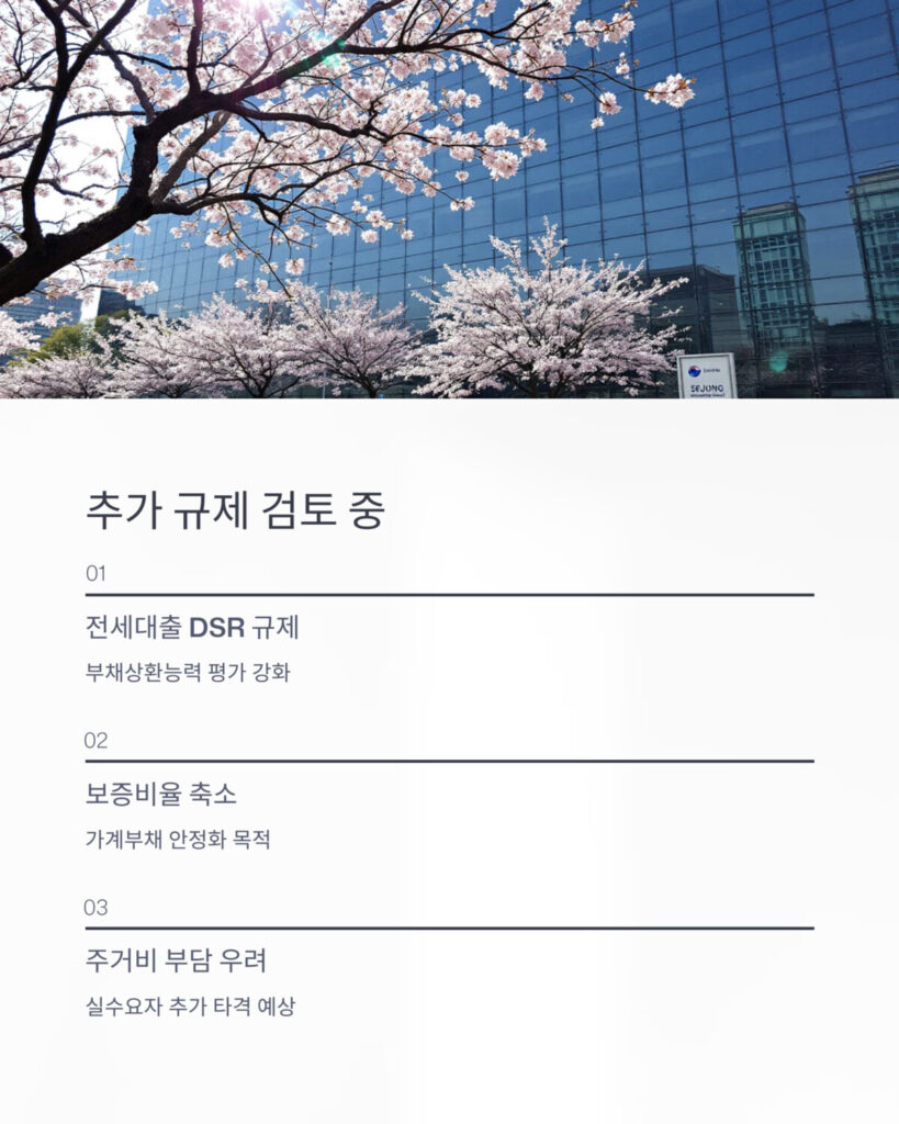 금융당국의 추가 규제 가능성