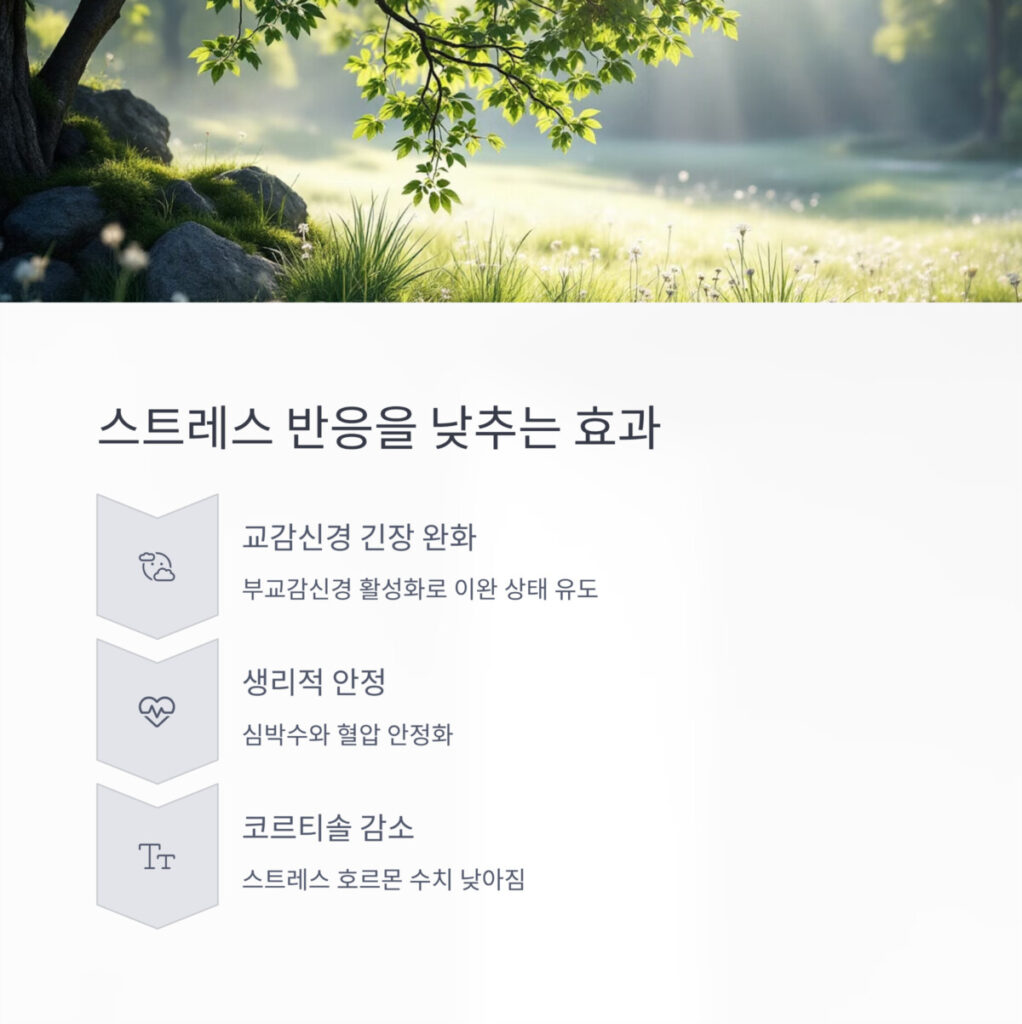 경치 좋은 야외 풍경